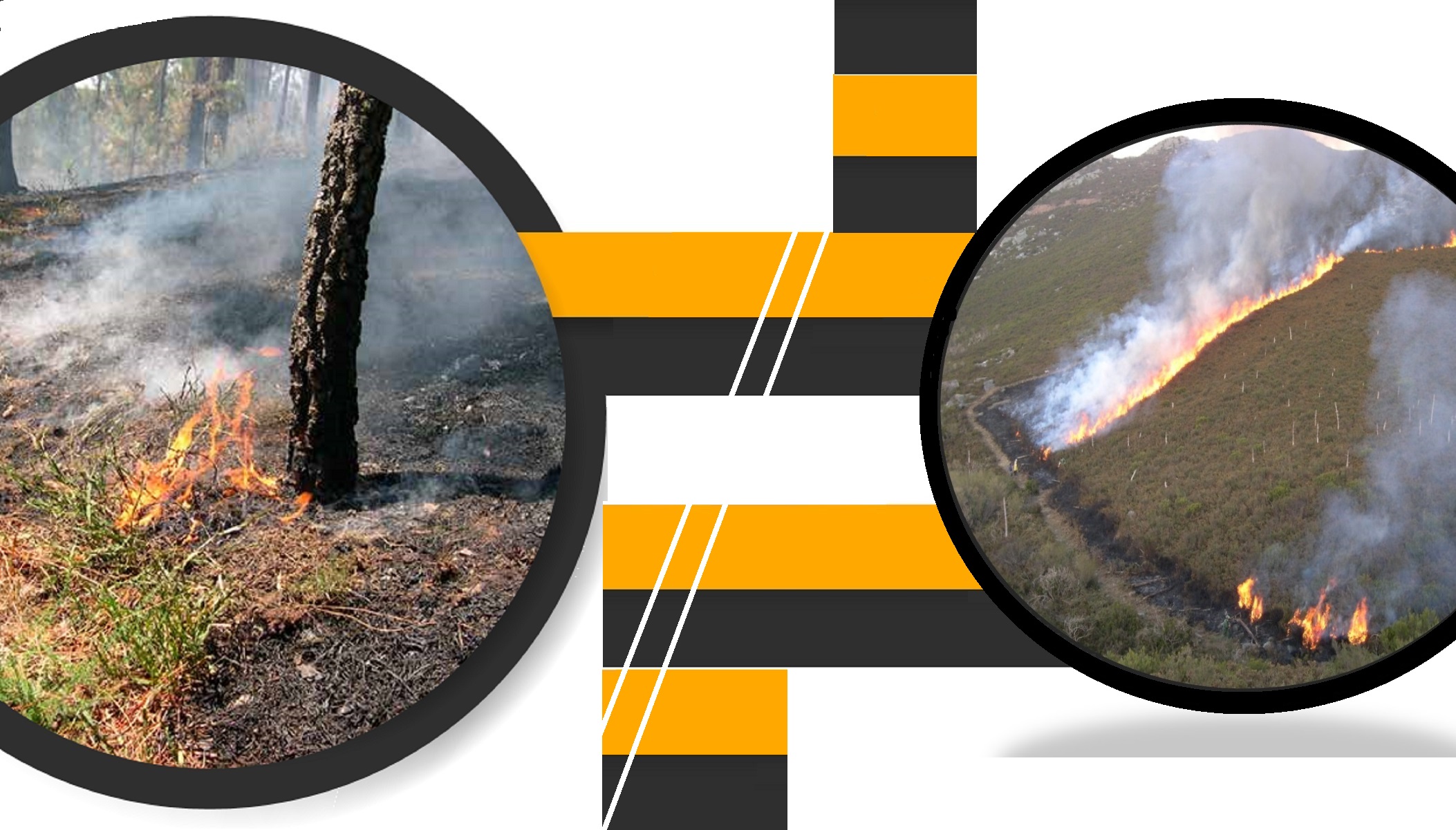 Prevenção de incêndios florestais e rurais na interface urbano-florestal (UFCD 9995)